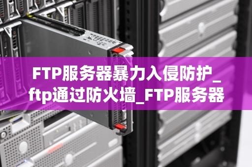 FTP服务器暴力入侵防护_ftp通过防火墙_FTP服务器暴力入侵防护