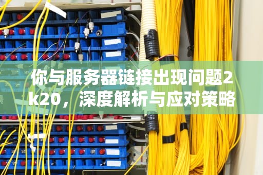 你与服务器链接出现问题2k20，深度解析与应对策略，你与服务器链接出现问题2k20怎么解决
