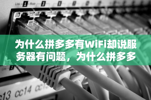 为什么拼多多有WiFi却说服务器有问题，为什么拼多多有wifi却说服务器有问题呢