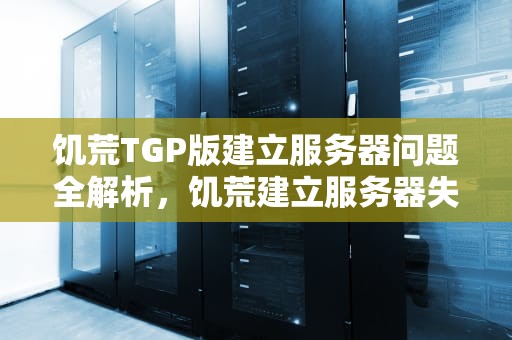 饥荒TGP版建立服务器问题全解析，饥荒建立服务器失败