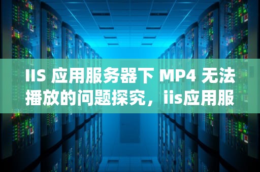 IIS 应用服务器下 MP4 无法播放的问题探究，iis应用服务器下mp4无法播放的问题是什么