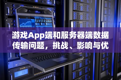 游戏App端和服务器端数据传输问题，挑战、影响与优化策略，游戏app端和服务器端数据传输问题一样吗
