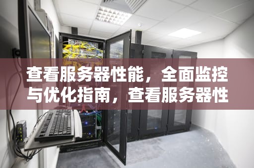 查看服务器性能，全面监控与优化指南，查看服务器性能命令