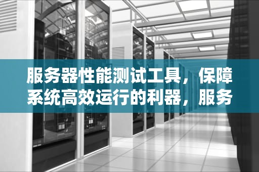 服务器性能测试工具，保障系统高效运行的利器，服务器性能测试工具有哪些