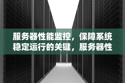 服务器性能监控，保障系统稳定运行的关键，服务器性能监控系统