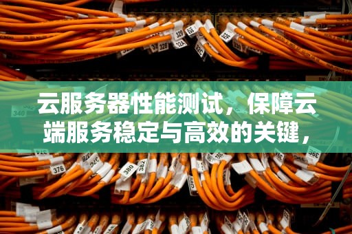 云服务器性能测试，保障云端服务稳定与高效的关键，云服务器性能测试脚本