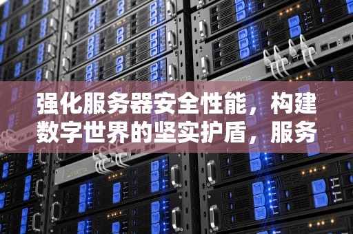 强化服务器安全性能，构建数字世界的坚实护盾，服务器安全性能怎么看