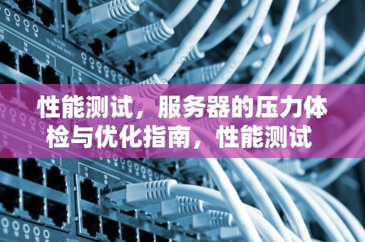 性能测试，服务器的压力体检与优化指南，性能测试 服务器指标