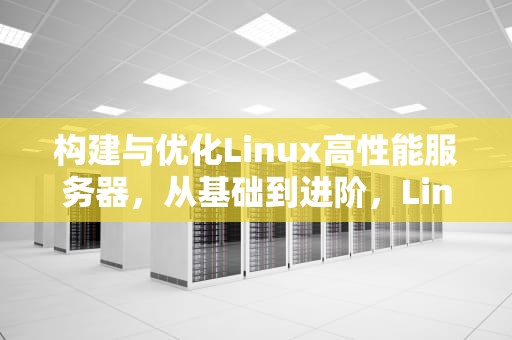构建与优化Linux高性能服务器，从基础到进阶，Linux高性能服务器编程 百度网盘