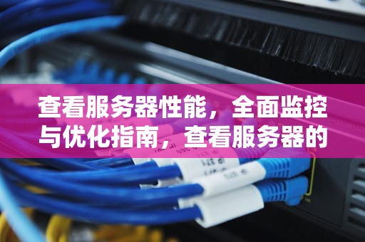 查看服务器性能，全面监控与优化指南，查看服务器的性能参数
