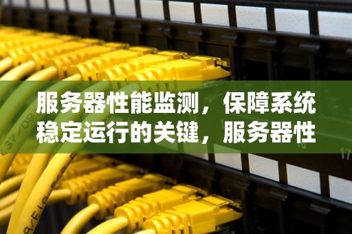 服务器性能监测，保障系统稳定运行的关键，服务器性能监测软件