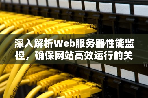 深入解析Web服务器性能监控，确保网站高效运行的关键，web 服务器性能监控是什么