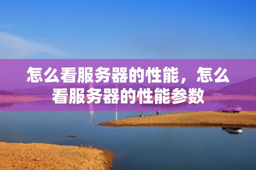 怎么看服务器的性能，怎么看服务器的性能参数