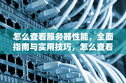 怎么查看服务器性能，全面指南与实用技巧，怎么查看服务器性能状态