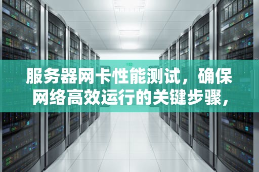 服务器网卡性能测试，确保网络高效运行的关键步骤，服务器网卡性能测试方法