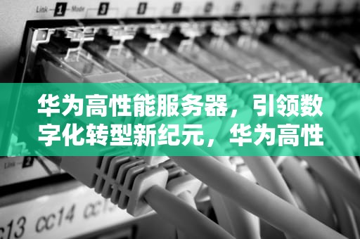 华为高性能服务器，引领数字化转型新纪元，华为高性能服务器 冷却液
