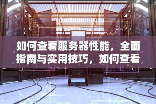 如何查看服务器性能，全面指南与实用技巧，如何查看服务器性能状态