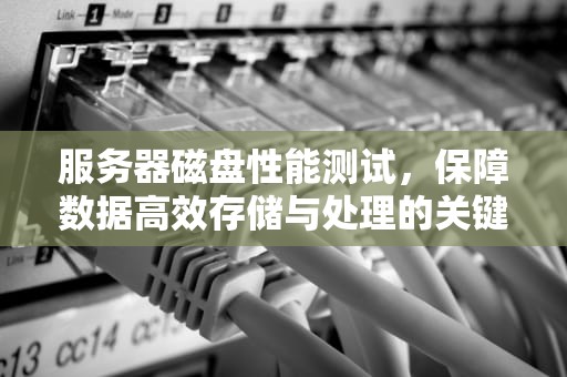 服务器磁盘性能测试，保障数据高效存储与处理的关键步骤，服务器磁盘性能测试软件