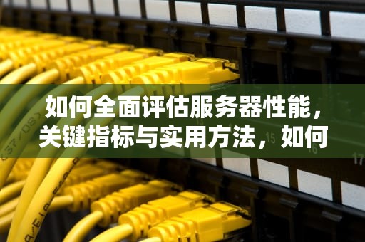 如何全面评估服务器性能，关键指标与实用方法，如何看服务器性能参数