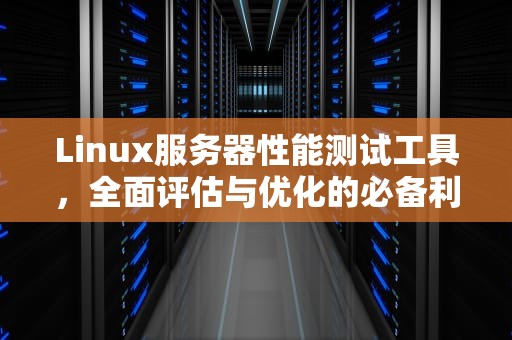 Linux服务器性能测试工具，全面评估与优化的必备利器，linux服务器性能测试工具有哪些