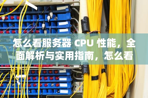 怎么看服务器 CPU 性能，全面解析与实用指南，怎么看服务器cpu性能好不好
