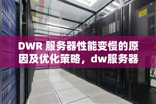 DWR 服务器性能变慢的原因及优化策略，dw服务器设置