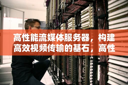 高性能流媒体服务器，构建高效视频传输的基石，高性能流媒体服务器项目