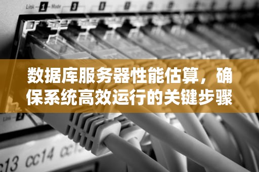数据库服务器性能估算，确保系统高效运行的关键步骤，数据库服务器性能估算方法