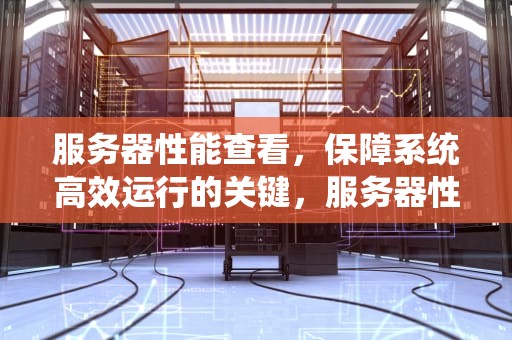 服务器性能查看，保障系统高效运行的关键，服务器性能查看命令