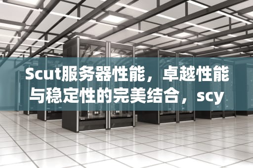 Scut服务器性能，卓越性能与稳定性的完美结合，scytl服务器