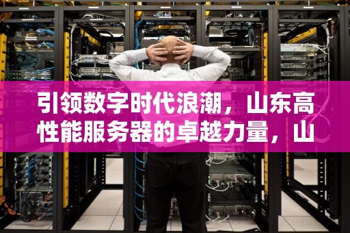 引领数字时代浪潮，山东高性能服务器的卓越力量，山东高性能服务器厂家