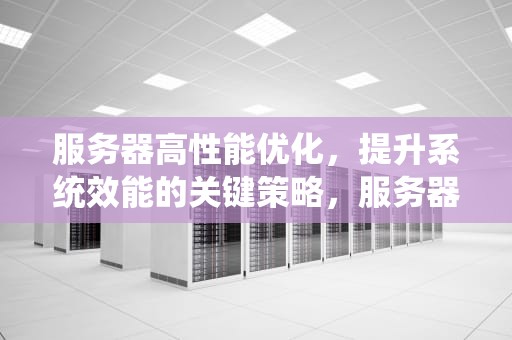 服务器高性能优化，提升系统效能的关键策略，服务器高性能优化什么意思