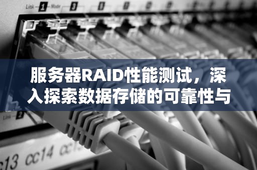 服务器RAID性能测试，深入探索数据存储的可靠性与效率之源，服务器raid性能测试方法