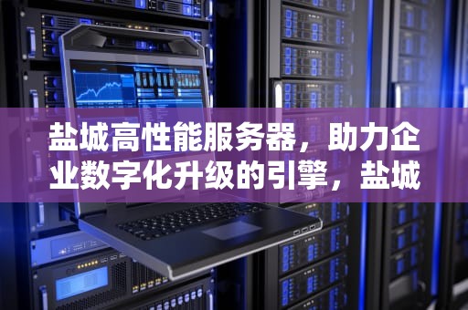 盐城高性能服务器，助力企业数字化升级的引擎，盐城高性能服务器厂家
