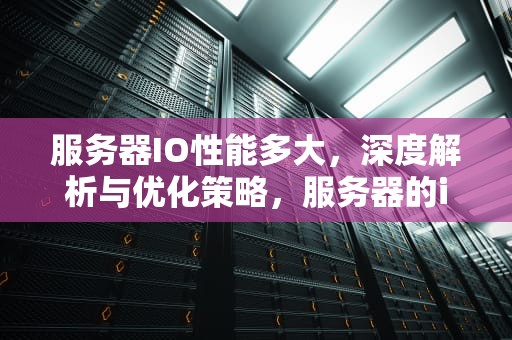 服务器IO性能多大，深度解析与优化策略，服务器的io性能