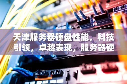 天津服务器硬盘性能，科技引领，卓越表现，服务器硬盘价格