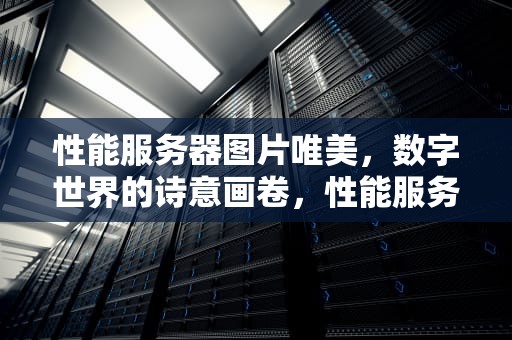性能服务器图片唯美，数字世界的诗意画卷，性能服务器的图片视频