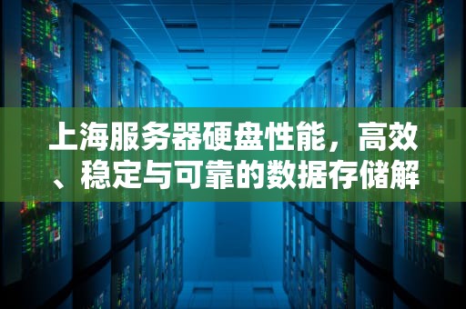 上海服务器硬盘性能，高效、稳定与可靠的数据存储解决方案，服务器硬盘报价
