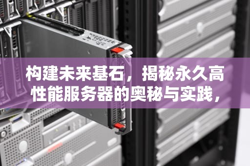 构建未来基石，揭秘永久高性能服务器的奥秘与实践，高性能服务器功能