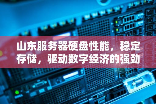 山东服务器硬盘性能，稳定存储，驱动数字经济的强劲引擎，服务器硬盘价格