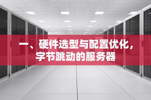 一、硬件选型与配置优化，字节跳动的服务器