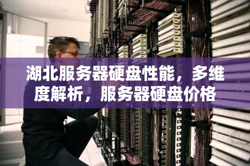 湖北服务器硬盘性能，多维度解析，服务器硬盘价格