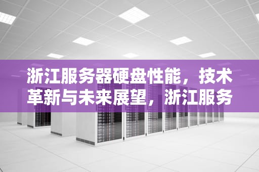 浙江服务器硬盘性能，技术革新与未来展望，浙江服务器硬盘性能怎么样