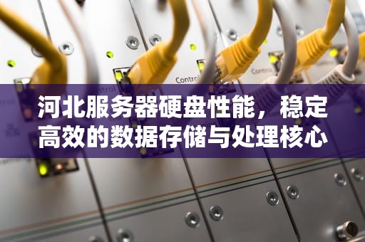 河北服务器硬盘性能，稳定高效的数据存储与处理核心，服务器硬盘价格