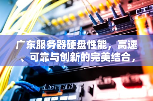 广东服务器硬盘性能，高速、可靠与创新的完美结合，服务器硬盘报价