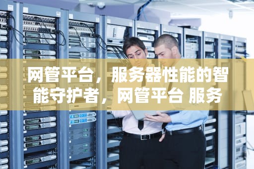 网管平台，服务器性能的智能守护者，网管平台 服务器性能怎么样