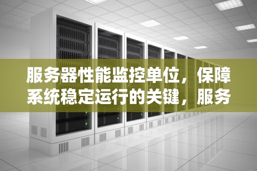 服务器性能监控单位，保障系统稳定运行的关键，服务器性能监控单位是什么