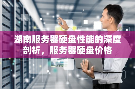 湖南服务器硬盘性能的深度剖析，服务器硬盘价格