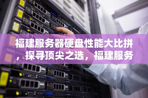 福建服务器硬盘性能大比拼，探寻顶尖之选，福建服务器公司有哪些