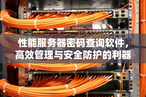 性能服务器密码查询软件，高效管理与安全防护的利器，性能服务器密码查询软件下载